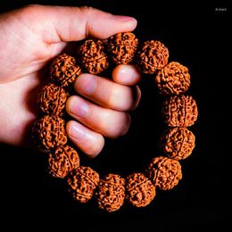 Strand Cool Rudraksha Vajra Bodhi Méditation Bracelet Tree Graines Chaîne de bracelet élastique Paix Méditative et joyeuse Cadeau Lucky