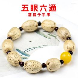 Strand Factory Wholesale Creative Five-Eye Six-Way Bodhi Seeds Bracelet Men's and Women's Ornament Stand Supply Live Room Welf