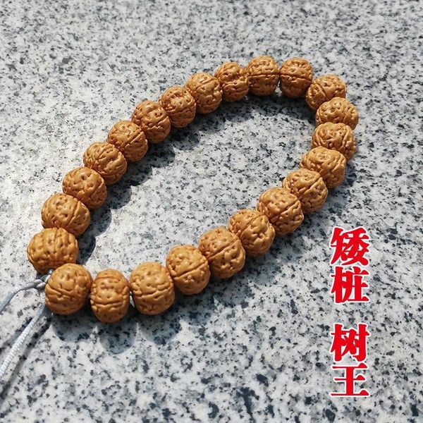 Strand King of Trees Small Jingang Bodhi Bracelet Men de graine pour hommes et femmes Bouddha Perles d'artefact culturel en bois