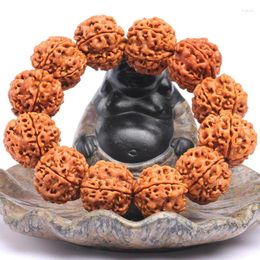 Strand Rudraksha Souche de fleur de prunier pour homme Népal Peau jaune Graine originale Jouet à main Bodhi