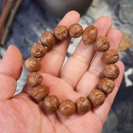 Bracelet à trois yeux Zi Jin Shu, perles originales, graines de Bodhi