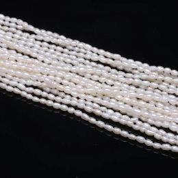 Strands Nuevos cuentas de perlas irregulares de perlas de agua dulce natural AAA que se usan para joyas que fabrican collar de bricolaje de bricolaje 2.02.5 mm