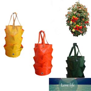 Bolsa para plantar fresas, bolsa contenedora creativa de múltiples bocas, bolsa para plantar, maceta para cultivo de plantas de raíz, herramienta lateral para el jardín del hogar