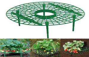 Aardbei -standaard frame houder balkon plantenrek fruit ondersteuning plantenbloem klimvine pilaar tuinieren stand xbjk20039051500