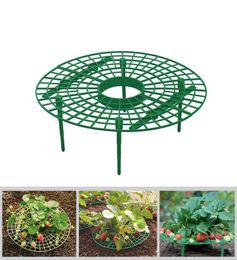 Soutien des fraises Garder les fruits élevés pour éviter le support de plante à la pourriture du sol avec 4 jambes robustes Garden Supplies6630428