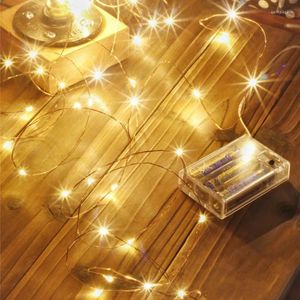Snaren 1-30M LED-snaarlicht Garland Street Fairy Lights Kerst buitendecoratie voor tuin Tuin Home Boom Bruiloft