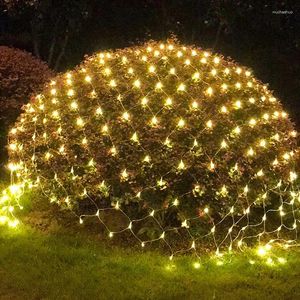 Cordes 1.5MX1.5M 3x2M Guirlandes de Noël LED String Net Lights Fée Fête de Noël Jardin Décoration de mariage Rideau