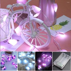 Strings 10/20 LED Love String Lights Roze paarse blauwe lamp voor tuinkamer decor bruiloft fairy tale slinger