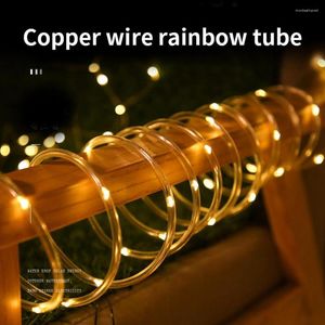 Strings 100/200 LED Solar String Fairy Lights Rope Tube Waterdichte Outdoor Garland Power Lamp Holiday voor tuindecoratie