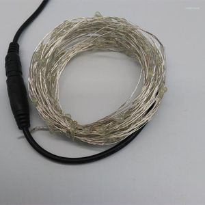 Cuerdas 10M 100 LED Luces de hadas navideñas para exteriores Alambre de cobre blanco cálido Luz estrellada DC 12V Cadena Decoración Sin adaptador