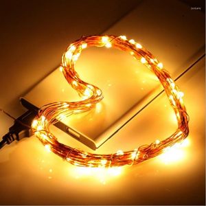 Strings 10m 100led USB koperdraad lichten Vakantie waterdichte sprookje Garden Kerstmis feest Wedding Woonkamer Indoor Decoratie