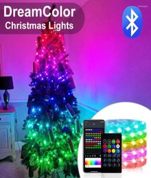 Cordes 10M 5M lumières de noël USB LED chaîne couleur de rêve WS2812B RGBIC Bluetooth APP adressable fée guirlande fête décoration5520513