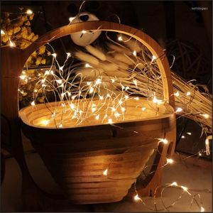 Strings 10pcs LED fée lumières fil de cuivre chaîne de vacances en plein air lampe de rue guirlande pour arbre de Noël décoration de fête de mariage