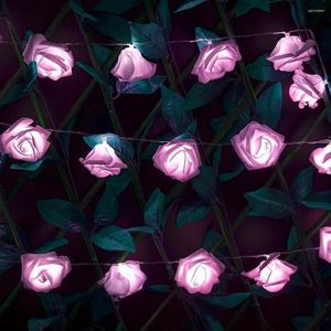 Strings 19.6ft 40leds Rose Flower String Lights USB LED Fairy voor slaapkamer Pink Romantische bruiloft Valentijn Wit warm warm