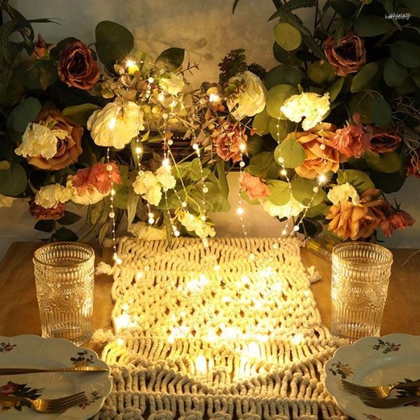 Cordes 2/5/10M perle Led guirlande lumineuse fil de cuivre fée batterie nacré fête de noël guirlande maison mariage décor