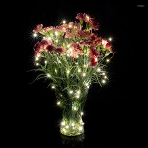 Cordes 2023 produit 10 pièces/lot 5M 50LED s Super lumineux 3 Mini Micro LED à piles chaîne de lumières pour la fête de mariage