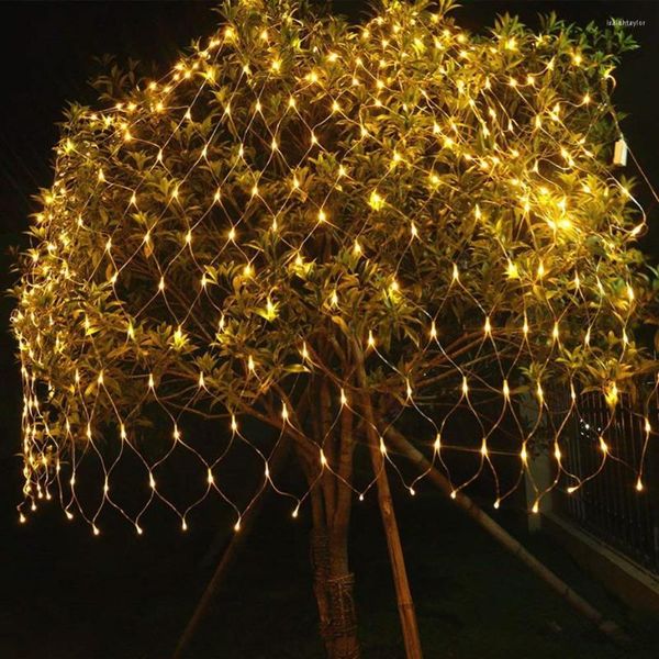 Cuerdas 220V Iluminación navideña a prueba de agua LED Luces de cadena de malla para hadas Árbol de Navidad Fiesta de bodas Jardín Hogar Decoración al aire libre