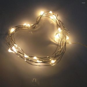 Strings 2m 20leds LED Garland waterdichte snaar licht koperdraad Chrismas Fairy Lights for Festival Wedding Party Home Decor Lamp