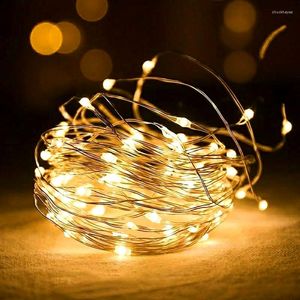 Cordes 2M 3M 5M 10M LED guirlandes lumineuses fil d'argent fée guirlande guirlande année noël Noel Navidad décoration de fête de mariage
