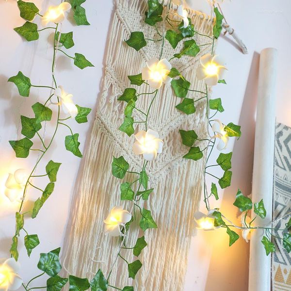 Cadenas 2m/3m Luces de San Valentín Día de mariposa Batería de cuerda Ivy/plantas USB Cumpleaños para bodas Decoración navideña