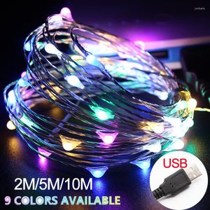 Cordes 2M 5M 10M 20 50 100 LED USB String Lights pour Noël Garland Party Décoration de mariage Arbre de Noël Flasher Fée