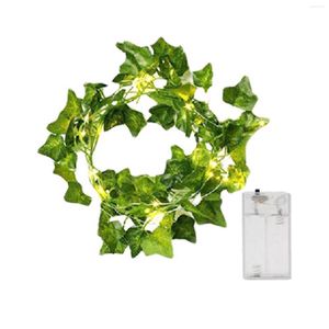 Cordes 2 m/5 m fête balcon intérieur extérieur étanche LED guirlande lumineuse vigne décor à la maison cour mariage alimenté par batterie en plastique