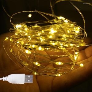 Cordes 2pcs USB Led Fil De Cuivre Guirlande Lumineuse Guirlandes Guirlandes Extérieures Lampadaire Pour Arbre De Noël Jardin DIY Décoration De Mariage