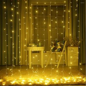 Strings 2x2/3x2/4x2m LED Wedding Fairy Light Christmas Kerstmisgordijn String Garland voor jaar Verjaardag Garden Party Decoratie