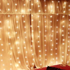 Strings 3 3M Fairy Lights Copper Wire Led String voor Kerstmis Garland Wedding Party Indoor Room Decoratie afstandsbediening Licht