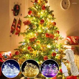 Snaren 3/5/10 m USB Led Kerstverlichting Koperdraad Garland Festoen Licht Vakantie Buitenlamp Kerstboom Bruiloft Jaar Party Decor