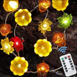 Cordes 3 Mètre 10ft 30 Led Guirlande Lumineuse 3d Citrouille Gland Avec Télécommande Pour Halloween Thanksgiving Décor