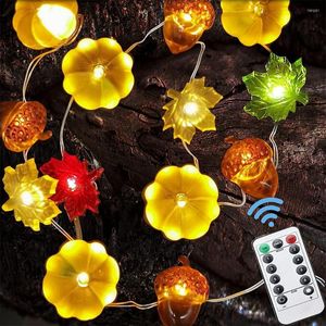 Strings 3 meter 10ft 30 LED -snaarverlichting 3D Pumpkin Acorn met afstandsbediening voor Halloween Thanksgiving Decor