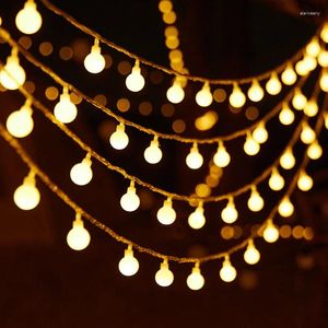 Strings 3m 6m 10m 22m Fairy Lights Garland LED Ball String Waterdicht voor kerstboom Indoor Wedding Home Decoratie 220V LAMP