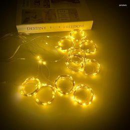 Cordes 3M LED Chaîne Fée Lumières Télécommande USB De Mariage Feston Guirlande Rideau Décorations De Noël Pour La Maison 2023 Bonne Année