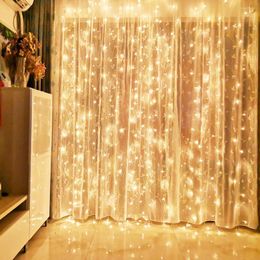 Strings 3x3m geheugenfunctie Kerst LED Gordijn IJschema String Licht Indoor Drop Party Garden Stage Outdoor Decoratief
