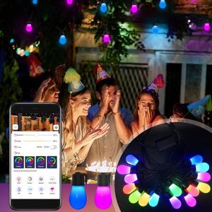 Strings 49ft Fairy String Lights 15 LED -lampen Bluetooth -app en sleutel afstandsbediening Multi Color Light IP65 Waterdicht