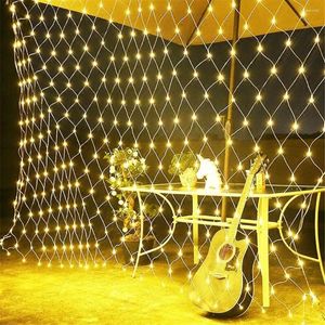 Cordes 4m x 6m 1.5mx1.5m 2x3m guirlandes de noël LED chaîne net lumières fée fête de noël jardin décoration de mariage rideau lumineux