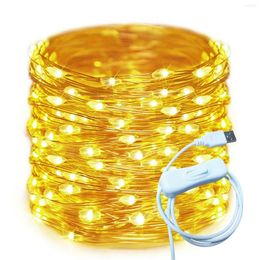 Cordes 50/100 LED USB fée lumière extérieure lampe cuivre guirlandes lumineuses pour vacances fête de noël mariage étanche jardin guirlande