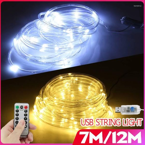 Cordes 8 Modes USB fée guirlande lumineuse corde Tube lumières télécommande décoration de la maison étanche pour la fête de mariage