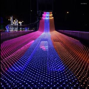 Strings AC220V 4MX6M 640 LED NET STRING LICHTEN Outdoor Christmas Fairy Light For Xmas Holiday Wedding Party Decoration 8 Mode