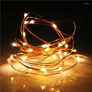 Strings batterij bediende LED -string Ligh10pcs/lot koper Fairy Lights 2m 20 LEDS CR2032 knop T Xmas trouwfeestdecoratie