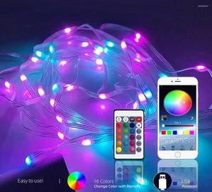 Cordes Bluetooth USB LED Guirlande Lumineuse RGBIC Smart Fée Rêve Couleur Fête De Mariage Décoration Intérieure Jardin De Noël