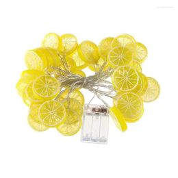 Strings Chirstmas Decoration Lemon Light String LED Garland Indoor Gebruik Batterij/Usb Holiday Fairy Lights for Wedding Year