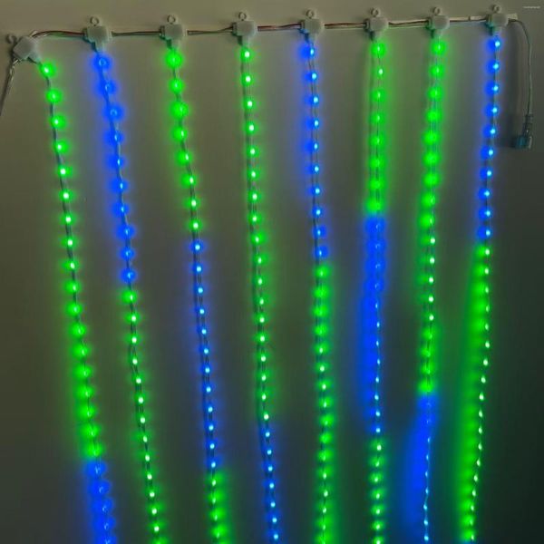 Cuerdas DC5V 12V 30mm Paso direccionable RGB LED inteligente Guijarro/matriz de semillas Luces de cortina 3M (100LED) de largo por 10 grupos IP67