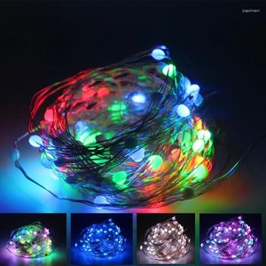 Strings DC5V USB (SK6803) LED Pixel Lights Christmas Tree Decoration Point String 50LED/100LED/200Led Party Sfeer