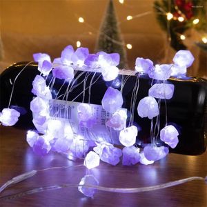 Cordes lumières décoratives améthyste LED chaîne à piles avec cristal naturel à distance 30LEDs pour mariage de fête