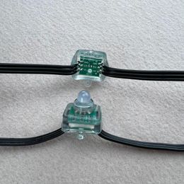 Strings DHL/FEDEX/UPS 1000PCS 100CT DC12V WS2811 Weerstand vierkant LED Pixel Knooppunten 18AWG met Ray Wu/Zhang/XConnect Co