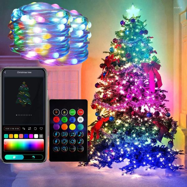 Cordes Rêve Couleur LED Guirlande Lumineuse Musique APP WS2812B RGBIC Éclairage Adressable Individuellement Fête D'anniversaire De Mariage Guirlande