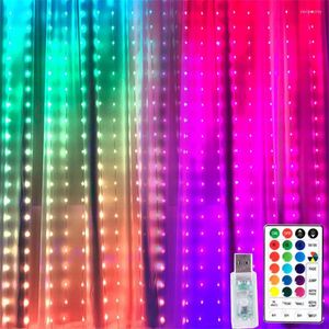 Rideau lumineux de fenêtre couleur rêve, 100/300 LED, guirlande féerique d'arrière-plan pour extérieur, décor de fête de mariage, de noël