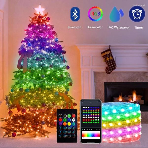 Cuerdas Dreamcolor Fairy Christmas Lights LED String Bluetooth WS2812B RGBIC Música direccionable Garland Party Wedding Decoration USB DC5V